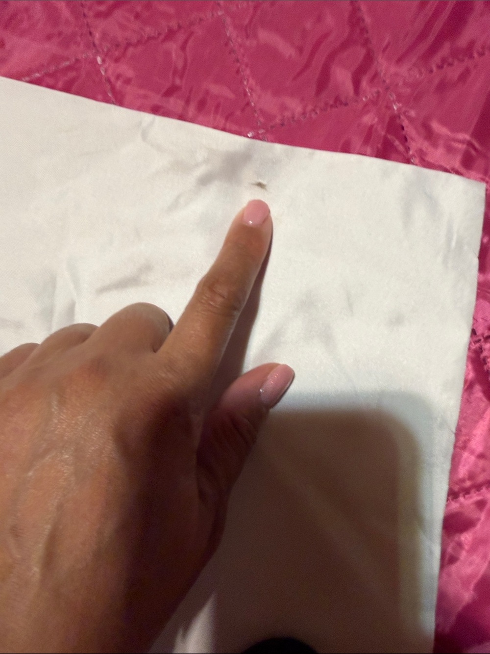 Coach Satin Dust Bag - Picture 4 of 6
